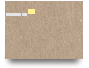 szúnyog