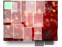 Christmas cards