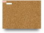 Relevamiento Actas D6 v2