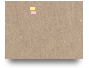 Evidence