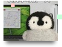 Penguin_001