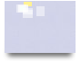 G 9 