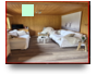 Swiss Alps Chalet 