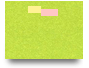 10 B