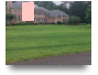 professional lawn 