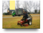 Reliable Commercial Lawn