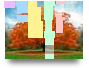 about trees