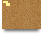 123
