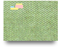 gggg