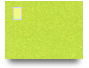 Lino1