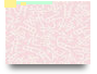 SIMPLE WORDS STRESS PATTERNS