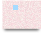 CV666
