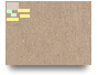 GRUPO IV