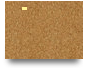 学パソでRoblox(ロブロックス)をしたい！教えて！