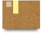 xoilacvvntv