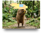 みんなの愚痴聞きます