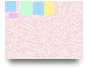 my profile