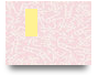 Luck8