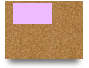 B2U1L4