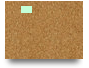 socolive10co12
