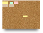 Trial Canvas
