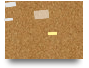 Trial Canvas