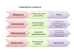 currículum educativo